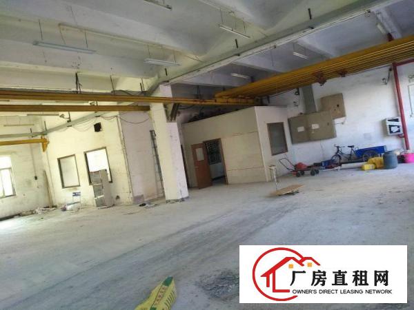 
龙岗一楼厂房260平450平600平带装修出租