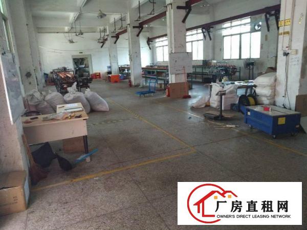 
龙岗一楼厂房260平450平600平带装修出租