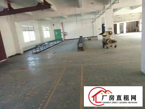 
龙岗一楼厂房260平450平600平带装修出租