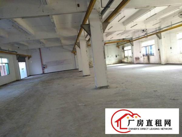 
龙岗一楼厂房260平450平600平带装修出租