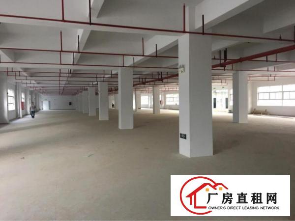 
龙岗中心城宝龙工业区独院全新40000平米厂房出租