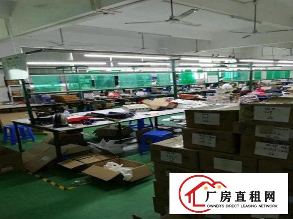 
龙岗龙西五联精装修现成水电独院8000平厂房出租