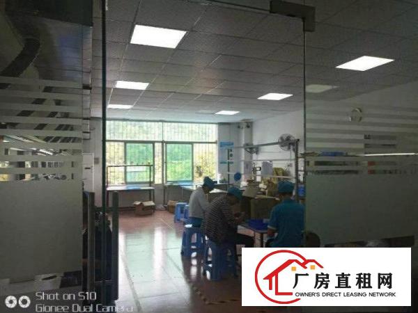 
龙岗中心城新出单层950平带装修厂房出租