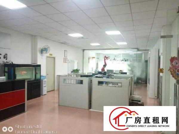 
龙岗中心城新出单层950平带装修厂房出租