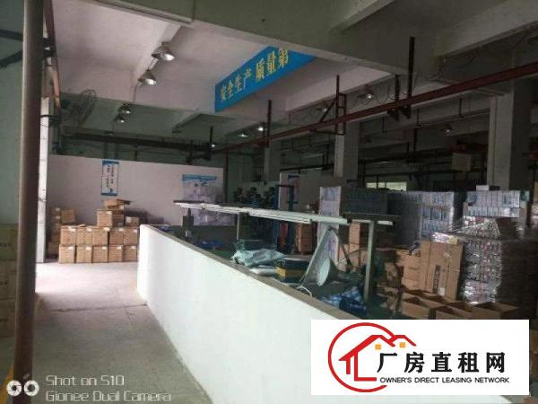 
龙岗中心城新出单层950平带装修厂房出租