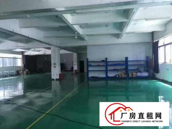 
龙岗宝龙新出楼上整层1800平方精装修厂房出租