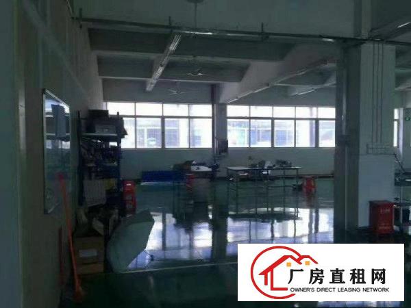 
龙岗宝龙新出楼上整层1800平方精装修厂房出租