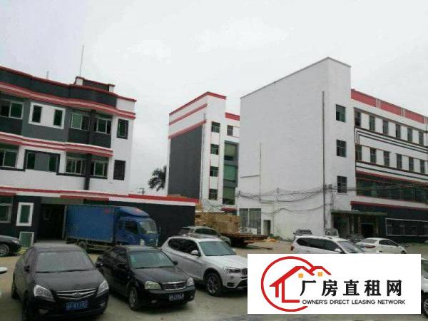 
龙岗中心城5万平红本高新智慧产业园大小分租