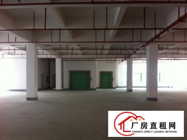 
龙岗同乐浪背工业区独院4600平红本厂房招租