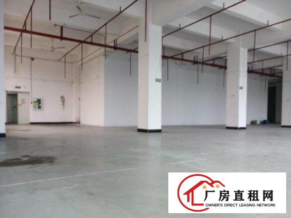 
龙岗同乐浪背工业区独院4600平红本厂房招租
