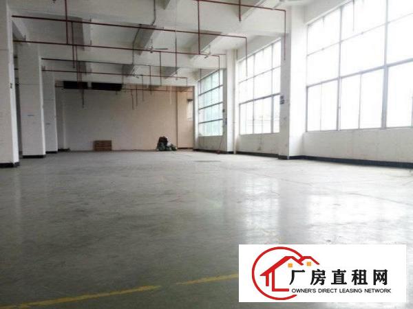 
龙岗同乐浪背工业区独院4600平红本厂房招租