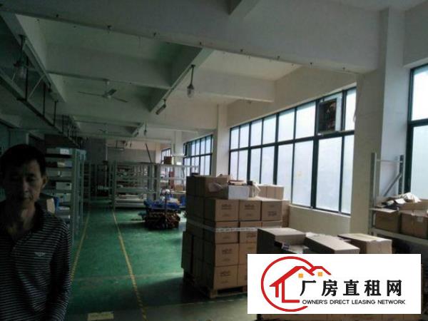 
常平卢屋一楼950平厂房出租带现成装修办公室