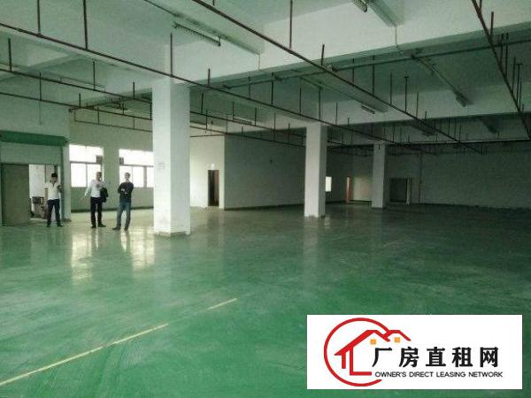 
常平桥梓一楼2200平方标准厂房(带豪华装修出租)