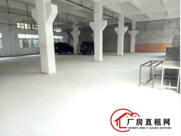 
常平卢屋一楼原房东厂房900平带牛角出租