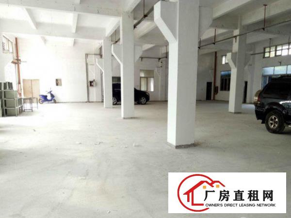 
常平卢屋一楼原房东厂房900平带牛角出租
