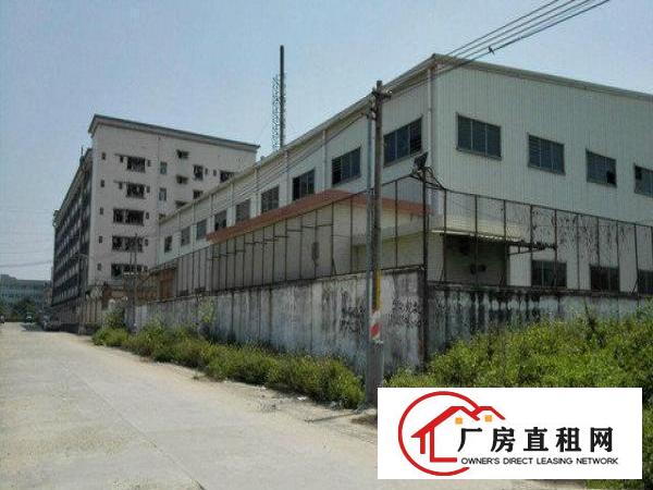 
供应常平新出1600平单一层独院厂房火热招租
