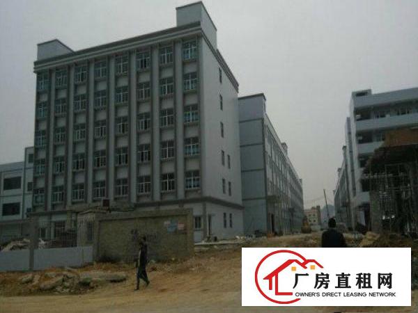 
常平横沥桥头新出大量优质厂房火爆招租