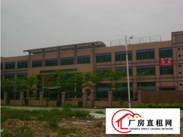 
常平厂房3600平米,急招租,花园式超靓