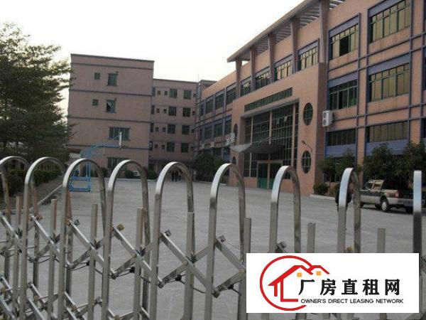 
常平厂房3600平米,急招租,花园式超靓