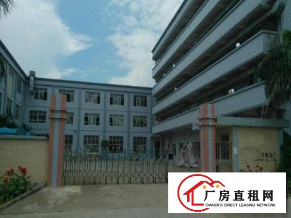 
常平标准一楼带消防喷淋厂房出租1600平方
