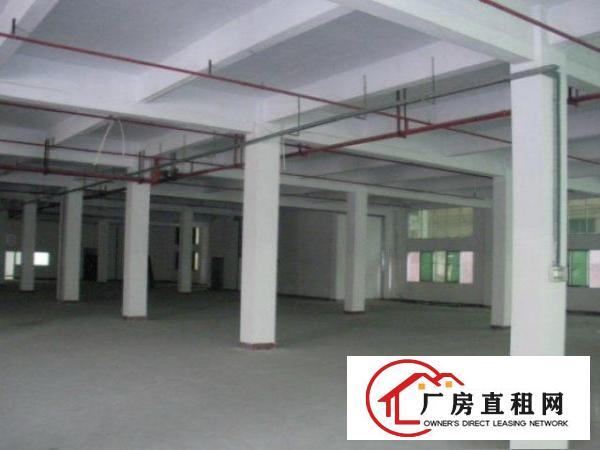 
常平标准一楼带消防喷淋厂房出租1600平方