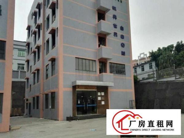 
国道边超靓厂房单一层 标准两层共7625平米