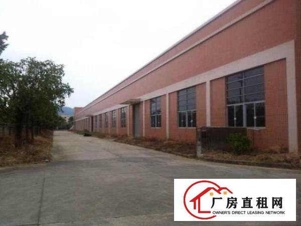 
1900平方米独院厂房招租不需要贵的只需要对的