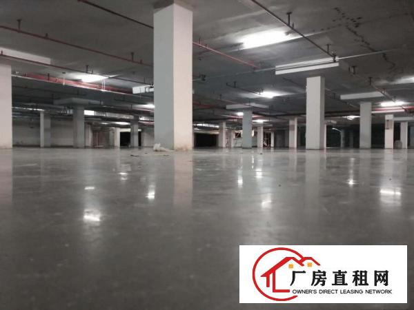 
厂房出租独栋厂房4500平方米标准厂房招租