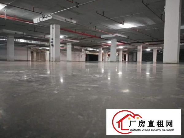 
厂房出租独栋厂房4500平方米标准厂房招租