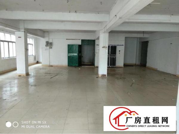 
常平袁山贝8元独栋标准厂房招租