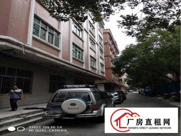 
常平袁山贝8元独栋标准厂房招租