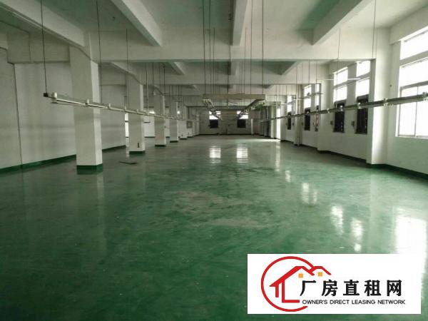 
原房东出租4000平方独门独院标准厂房