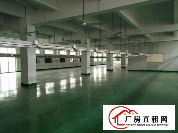 
原房东出租4000平方独门独院标准厂房