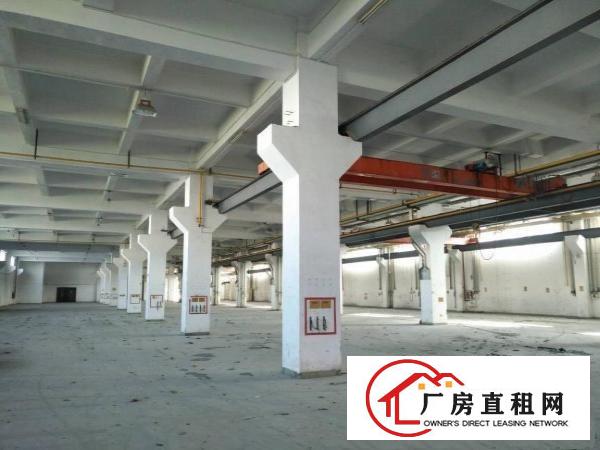 
原房东出租4000平方独门独院标准厂房
