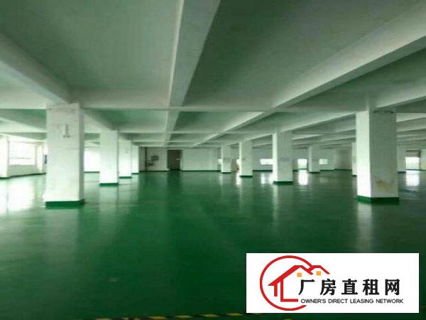 
常平塘角工业区1200平方带装修厂房出租