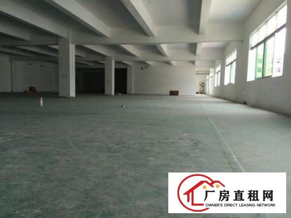 
原房东独门独院标准厂房出租