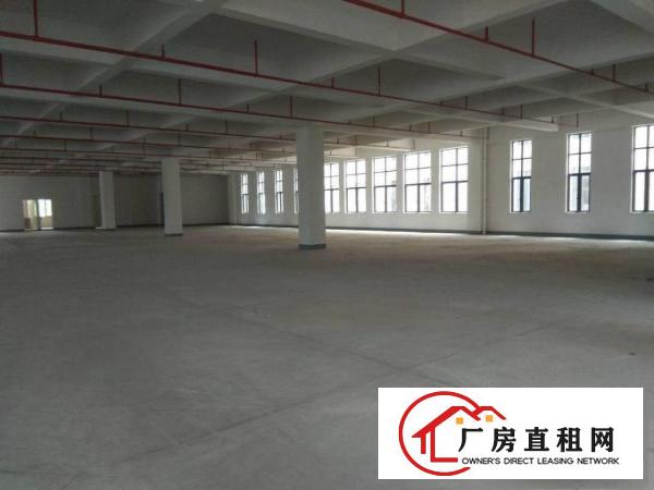 
原房东独门独院标准厂房出租