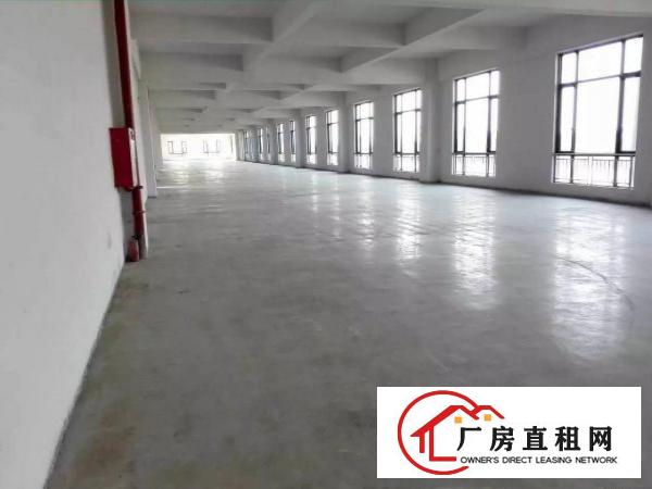 
原房东独门独院标准厂房出租