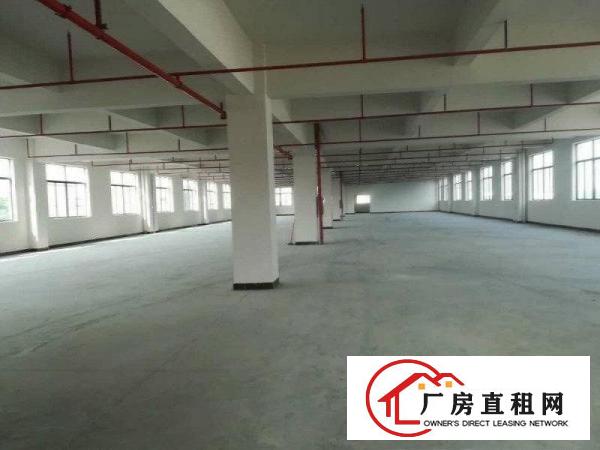 
原房东独门独院标准厂房出租