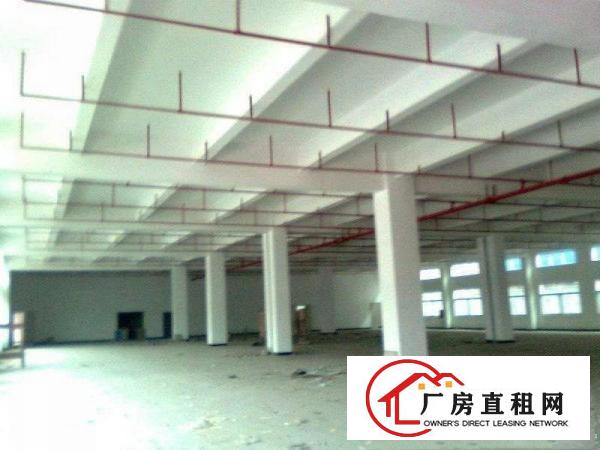 
原房东独门独院标准厂房出租