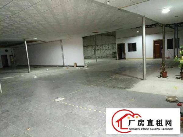 
13元/平方原房东1300平方单一层铁皮房出租