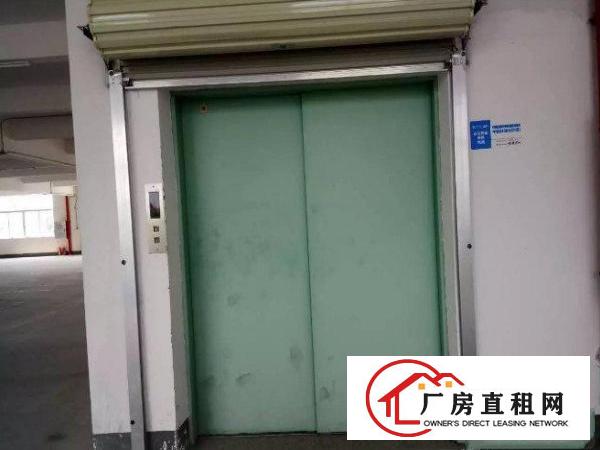 
常平岗梓出租楼上厂房1200平方厂房