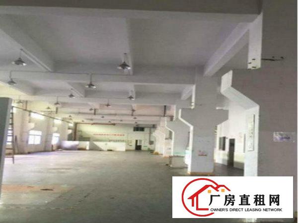 
常平桥梓村标准厂房一楼2100平地理位置良好，交通便利