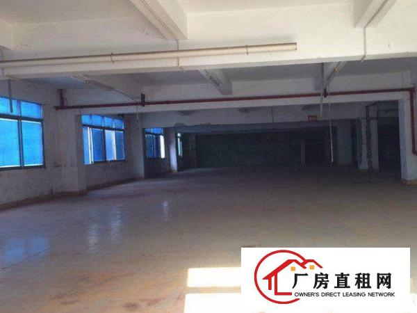 
常平岗梓一楼550平厂房水电齐全，带装修
