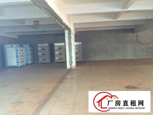 
常平岗梓一楼550平厂房水电齐全，带装修