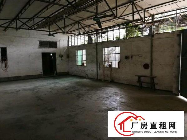 
袁山贝袁山贝靠环常路厂房260平米
