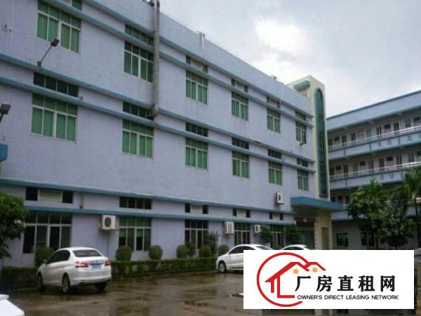 
常平土塘6000平方原房东独院厂房出租