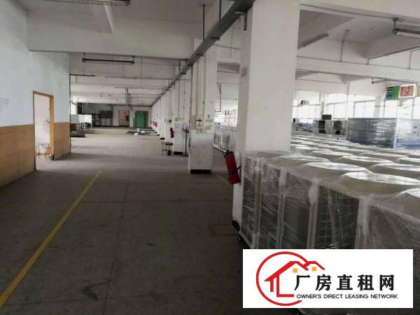 
常平土塘6000平方原房东独院厂房出租