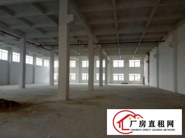 
常平白石岗村标准厂房一楼880平带牛角形象好