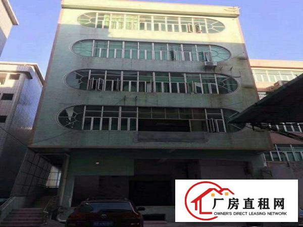 
出租常平中元街厂房